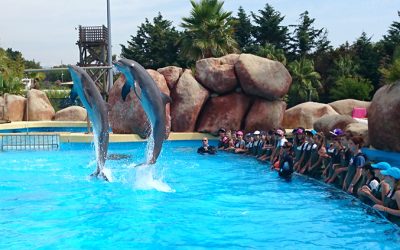 parc aquatique marineland bassin des dauphins