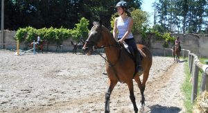 sejour colos st cyran equitation