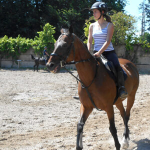 sejour colos st cyran equitation