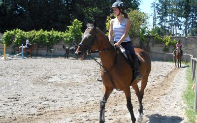 sejour colos st cyran equitation