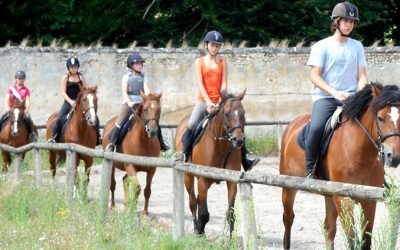 Une colonie de vacances équitation pour les enfants et ados passionnés de chevaux : une expérience équestre inoubliable.