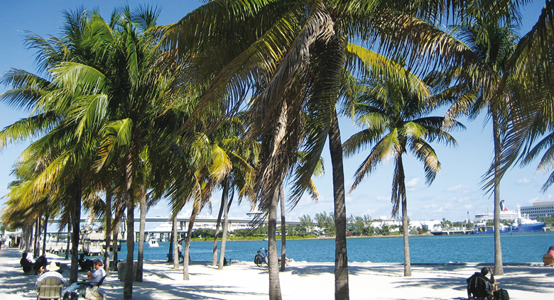 séjour linguistique usa anglais à miami plage