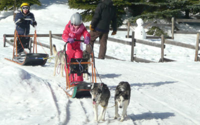 petits mushers Font-Romeu Pyrénées